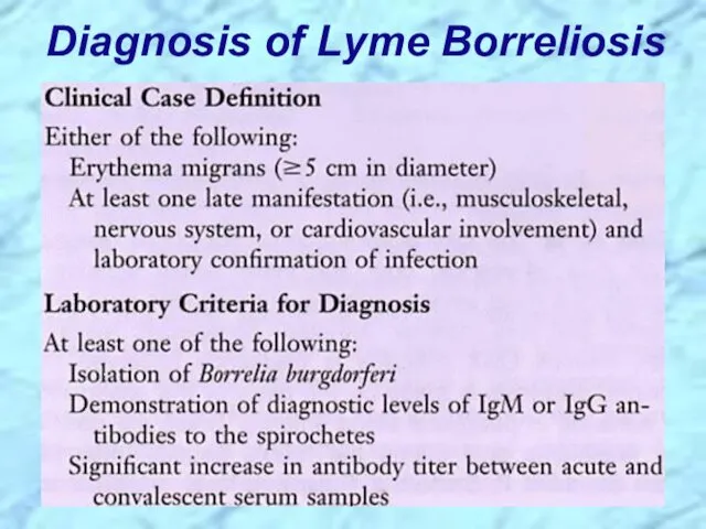 Diagnosis of Lyme Borreliosis