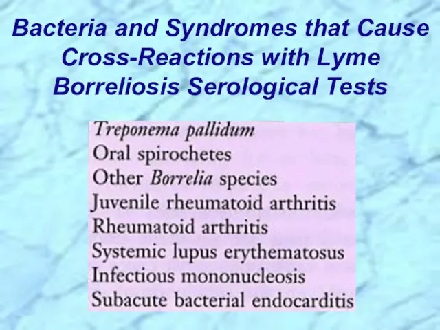 Bacteria and Syndromes that Cause Cross-Reactions with Lyme Borreliosis Serological Tests