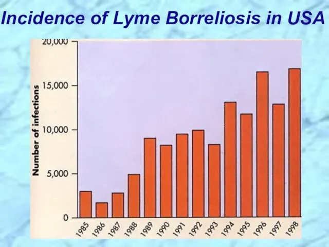 Incidence of Lyme Borreliosis in USA