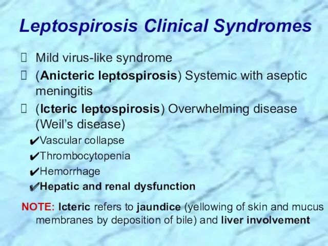 Leptospirosis Clinical Syndromes Mild virus-like syndrome (Anicteric leptospirosis) Systemic with