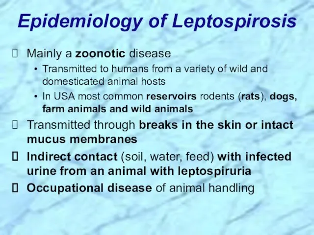 Epidemiology of Leptospirosis Mainly a zoonotic disease Transmitted to humans