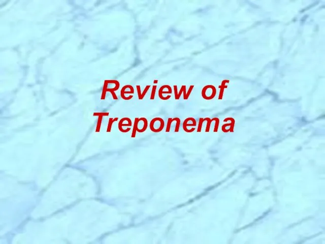 Review of Treponema