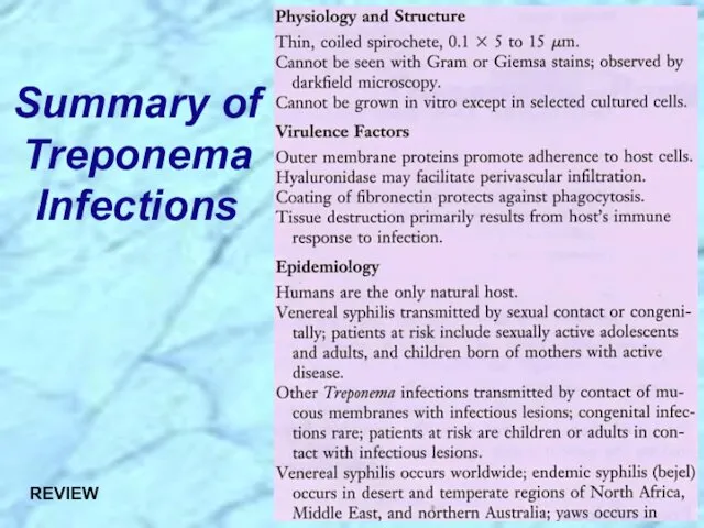 Summary of Treponema Infections REVIEW