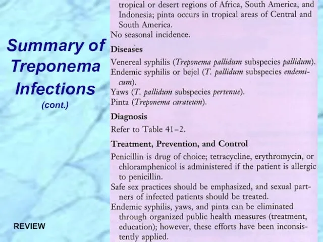 Summary of Treponema Infections (cont.) REVIEW