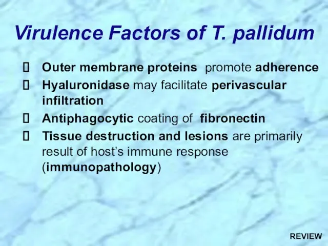 Virulence Factors of T. pallidum Outer membrane proteins promote adherence