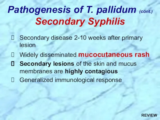 Secondary disease 2-10 weeks after primary lesion Widely disseminated mucocutaneous