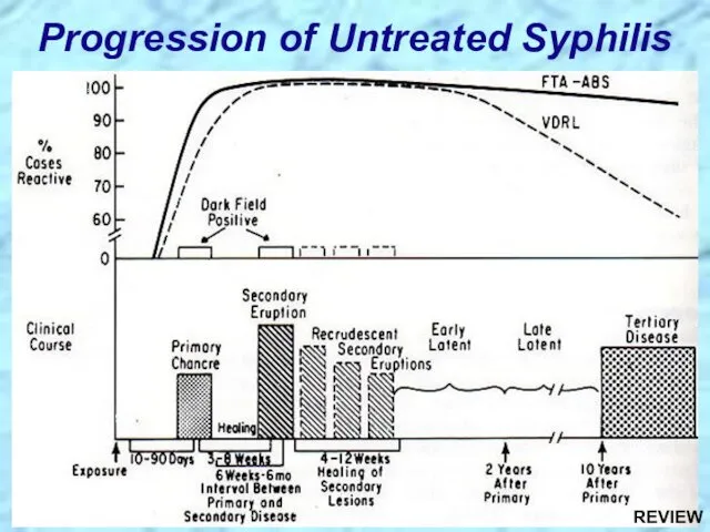 Progression of Untreated Syphilis REVIEW