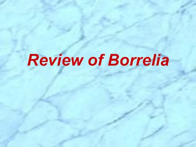 Review of Borrelia