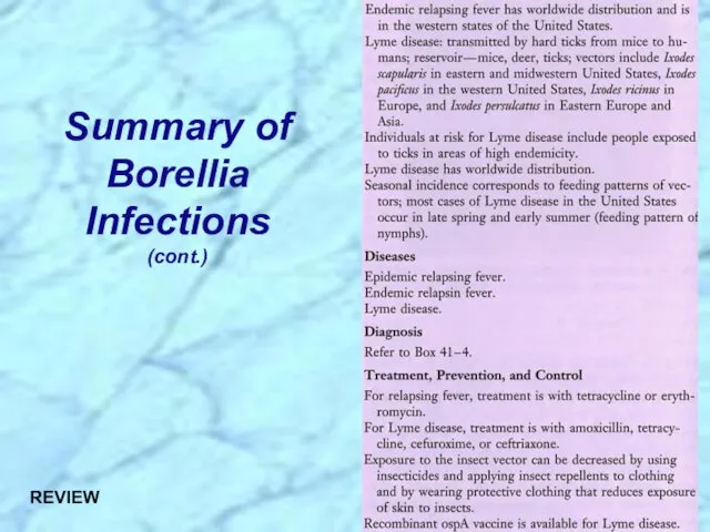 Summary of Borellia Infections (cont.) REVIEW