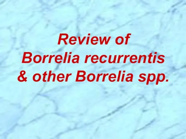 Review of Borrelia recurrentis & other Borrelia spp.