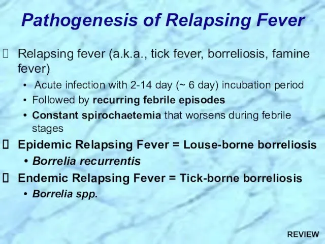 Pathogenesis of Relapsing Fever Relapsing fever (a.k.a., tick fever, borreliosis,