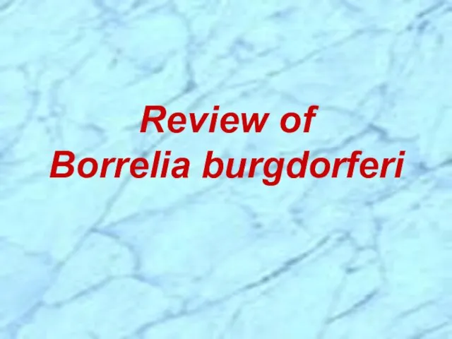 Review of Borrelia burgdorferi