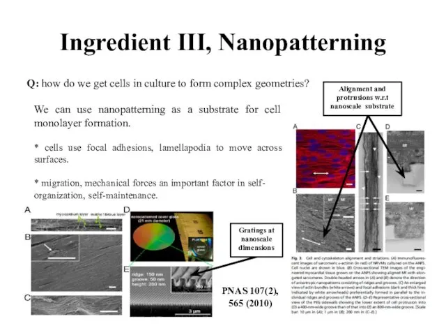 Ingredient III, Nanopatterning Q: how do we get cells in