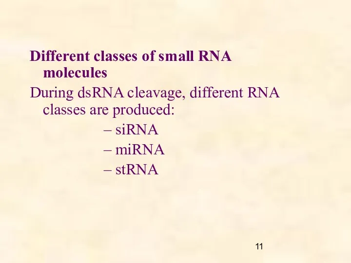 Different classes of small RNA molecules During dsRNA cleavage, different