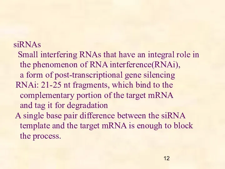 siRNAs Small interfering RNAs that have an integral role in