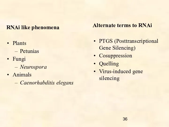 RNAi like phenomena Plants Petunias Fungi Neurospora Animals Caenorhabditis elegans