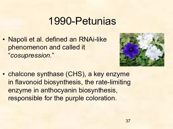 1990-Petunias Napoli et al. defined an RNAi-like phenomenon and called