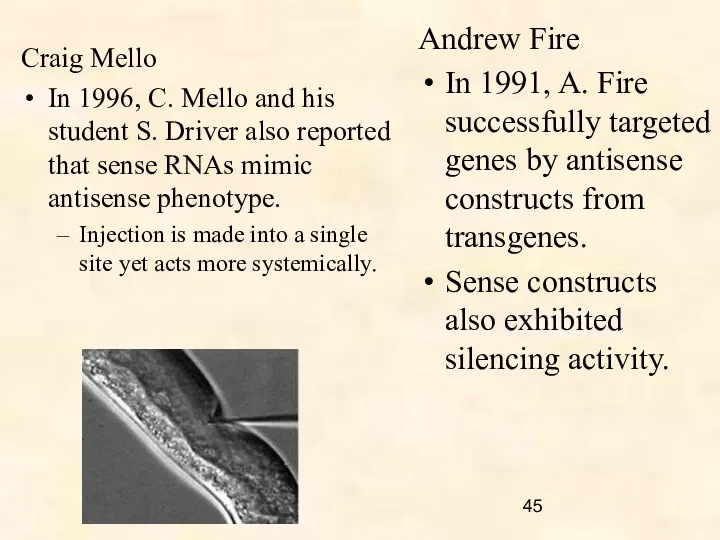 Craig Mello In 1996, C. Mello and his student S.