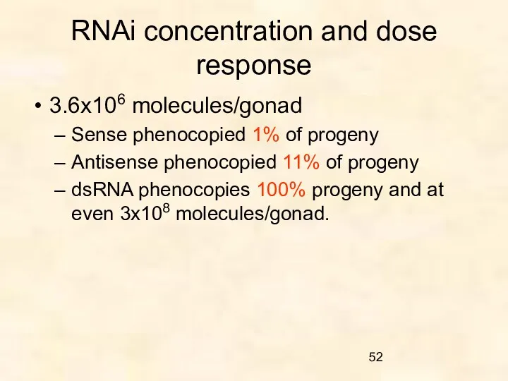 RNAi concentration and dose response 3.6x106 molecules/gonad Sense phenocopied 1%