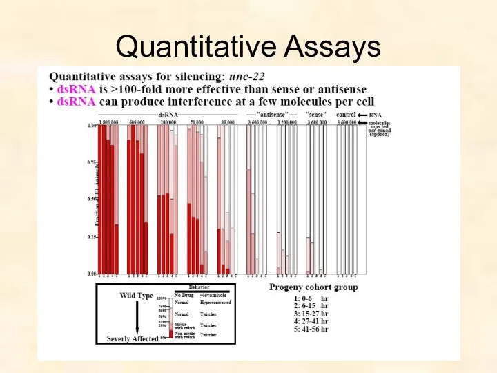 Quantitative Assays