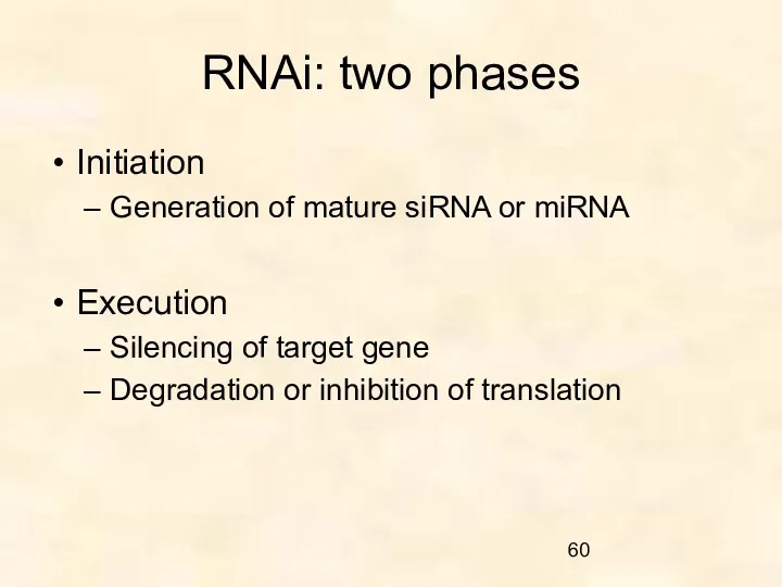 RNAi: two phases Initiation Generation of mature siRNA or miRNA