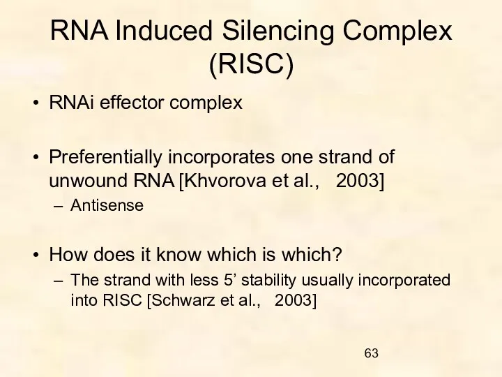 RNA Induced Silencing Complex (RISC) RNAi effector complex Preferentially incorporates