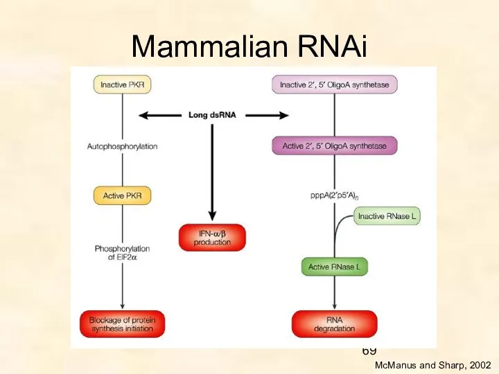 Mammalian RNAi McManus and Sharp, 2002