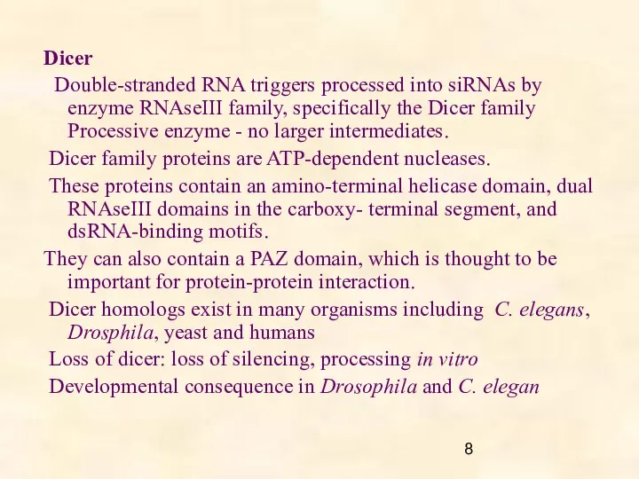 Dicer Double-stranded RNA triggers processed into siRNAs by enzyme RNAseIII