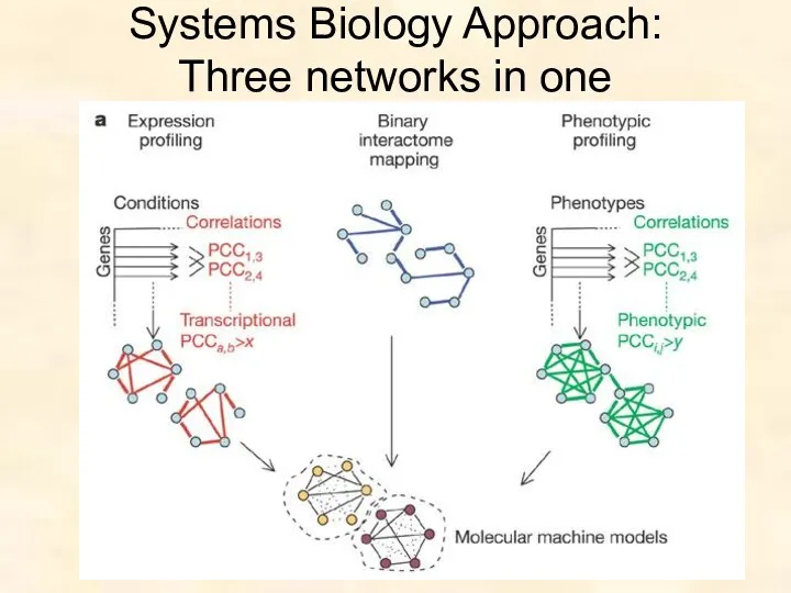 Systems Biology Approach: Three networks in one