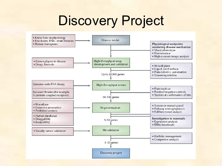 Discovery Project