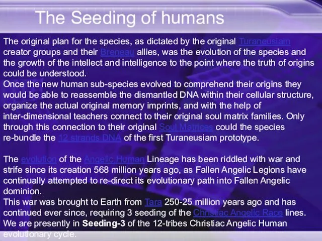 The Seeding of humans The original plan for the species, as dictated by