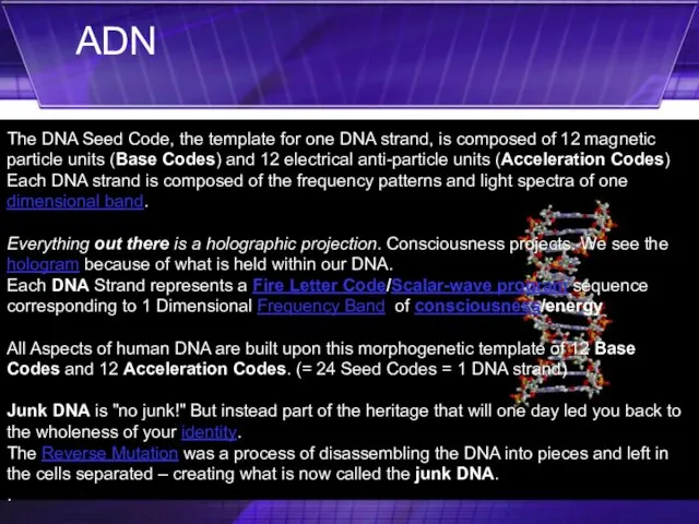 The DNA Seed Code, the template for one DNA strand,
