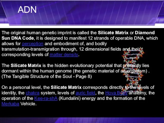 The original human genetic imprint is called the Silicate Matrix or Diamond Sun