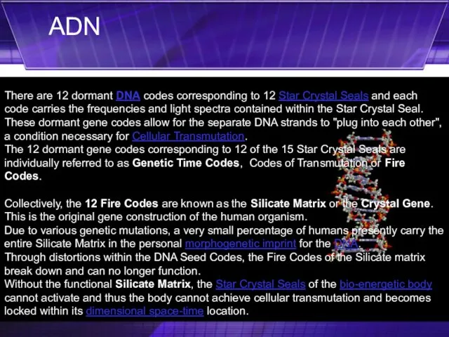 There are 12 dormant DNA codes corresponding to 12 Star