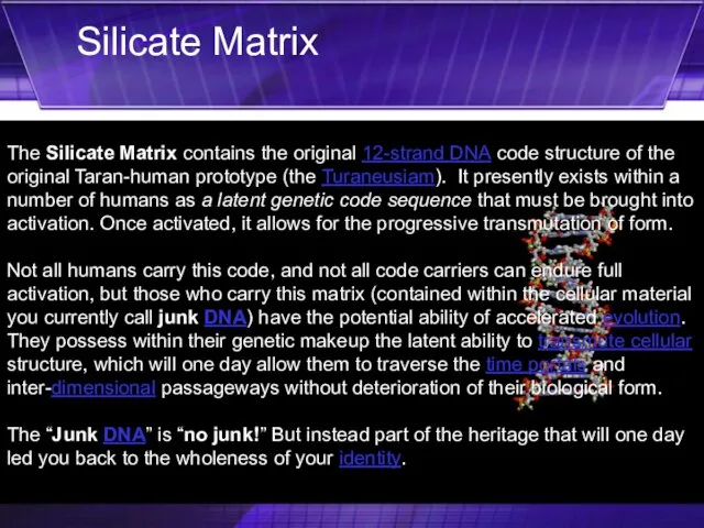 The Silicate Matrix contains the original 12-strand DNA code structure