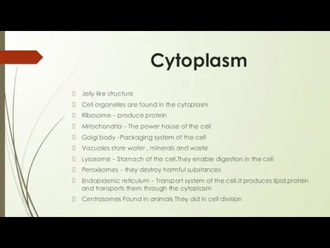 Cytoplasm Jelly like structure Cell organelles are found in the