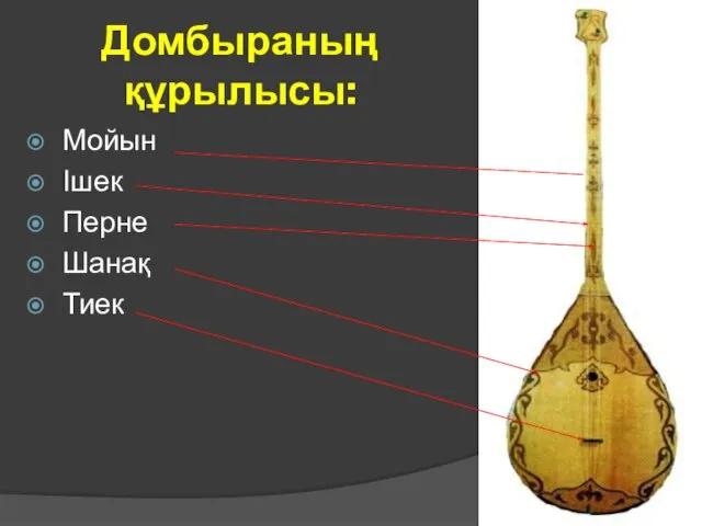 Домбыраның құрылысы: Мойын Ішек Перне Шанақ Тиек