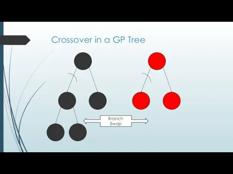 Crossover in a GP Tree Branch Swap
