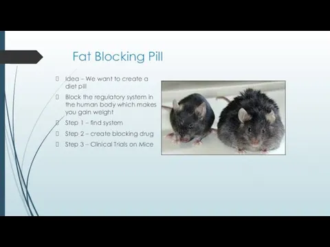 Fat Blocking Pill Idea – We want to create a