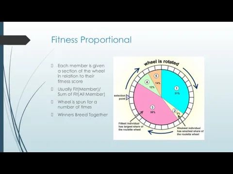 Fitness Proportional Each member is given a section of the