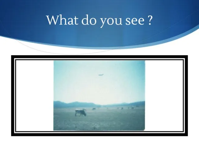 What do you see ?