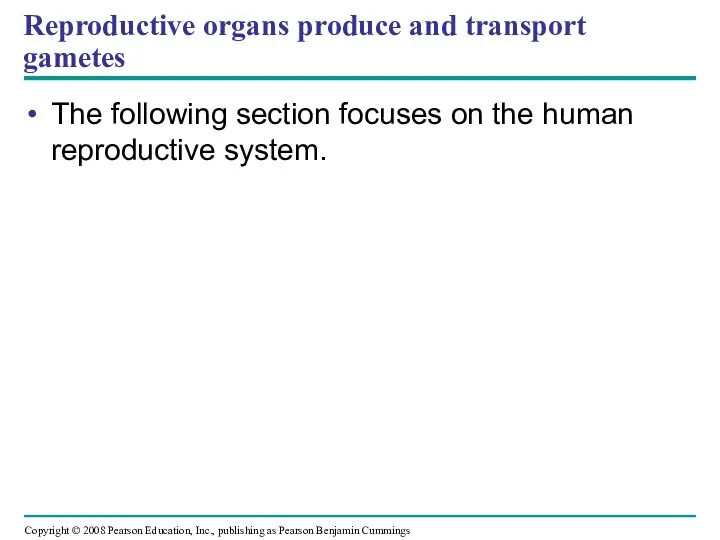 Reproductive organs produce and transport gametes The following section focuses on the human reproductive system.