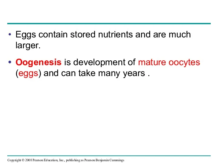 Eggs contain stored nutrients and are much larger. Oogenesis is