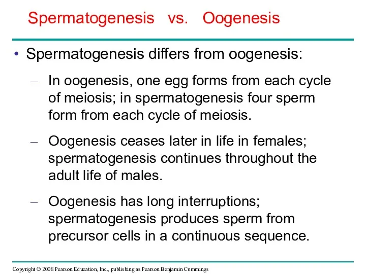 Spermatogenesis differs from oogenesis: In oogenesis, one egg forms from