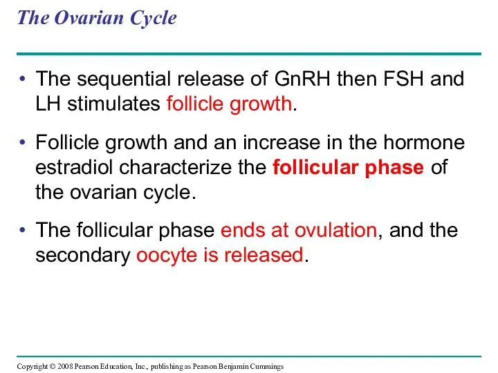 The Ovarian Cycle The sequential release of GnRH then FSH