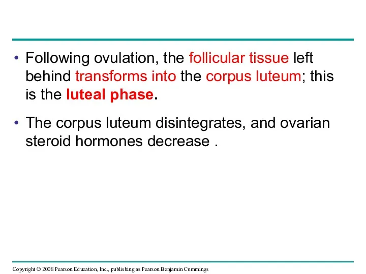 Following ovulation, the follicular tissue left behind transforms into the