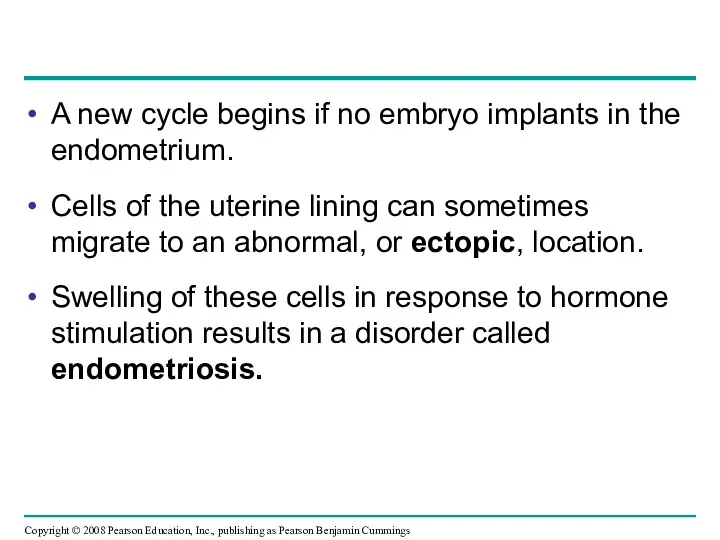 A new cycle begins if no embryo implants in the