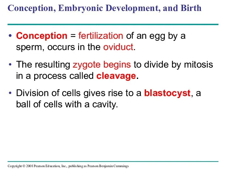 Conception, Embryonic Development, and Birth Conception = fertilization of an