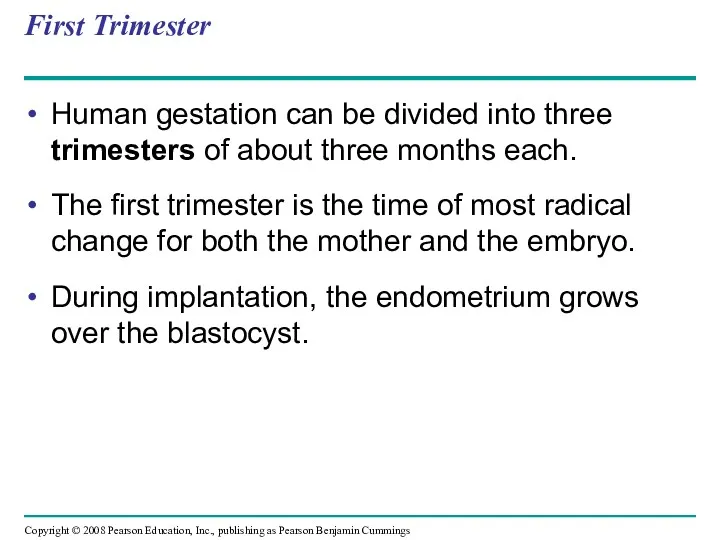 First Trimester Human gestation can be divided into three trimesters