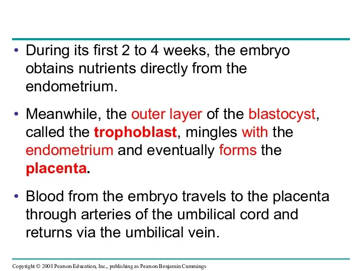 During its first 2 to 4 weeks, the embryo obtains